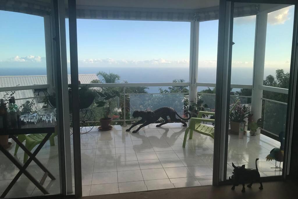 St Leu -Villa D'Artiste, Superbe Vue Mer, Piscine Chauffee Сен-Ле Екстер'єр фото